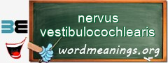 WordMeaning blackboard for nervus vestibulocochlearis